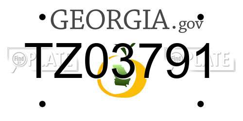 TZ03791 Georgia License Plate
