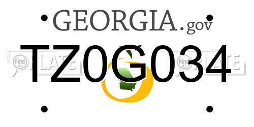TZ0G034 Georgia License Plate