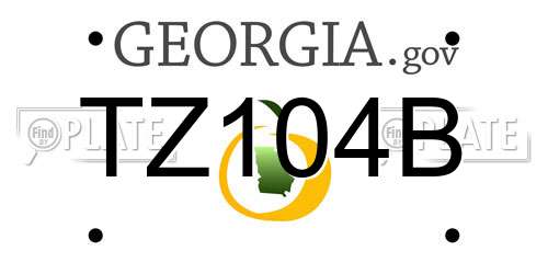 TZ104B Georgia License Plate