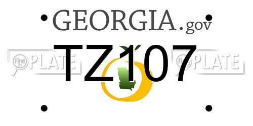 TZ107 Georgia License Plate