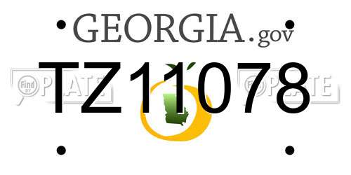 TZ11078 Georgia License Plate