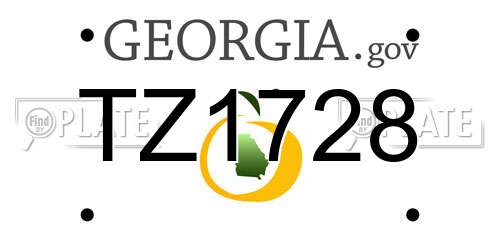 TZ1728 Georgia License Plate