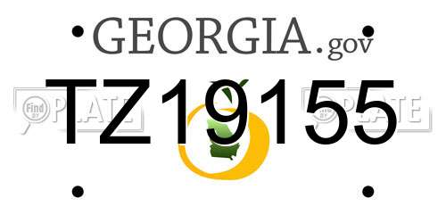 TZ19155 Georgia License Plate