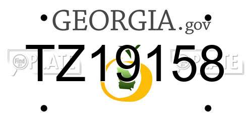 TZ19158 Georgia License Plate