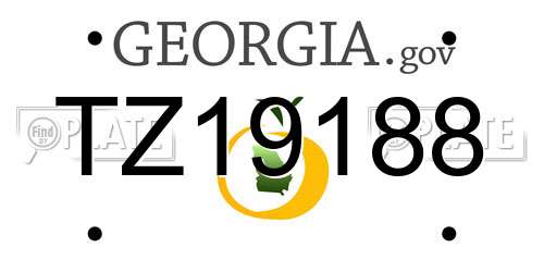 TZ19188 Georgia License Plate
