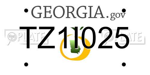 TZ1I025 Georgia License Plate