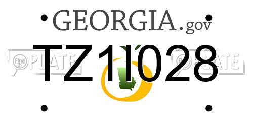 TZ1I028 Georgia License Plate