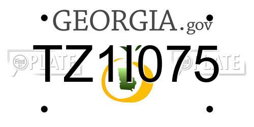 TZ1I075 Georgia License Plate
