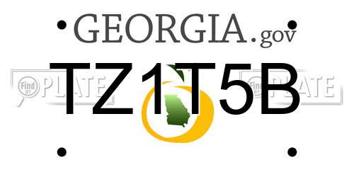 TZ1T5B Georgia License Plate