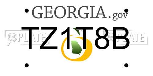 TZ1T8B Georgia License Plate