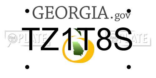 TZ1T8S Georgia License Plate