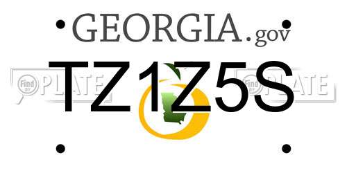 TZ1Z5S Georgia License Plate