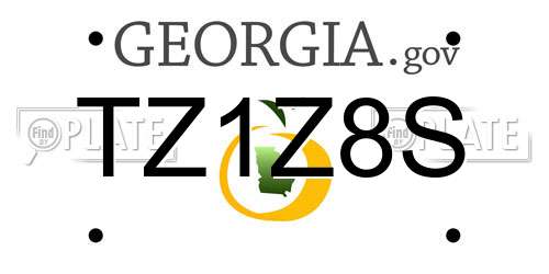TZ1Z8S Georgia License Plate
