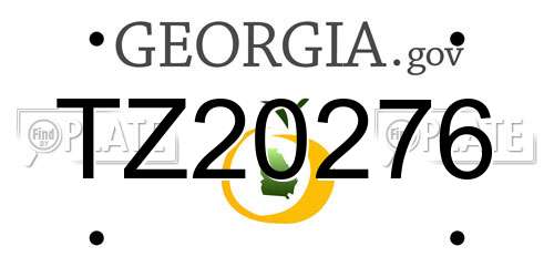 TZ20276 Georgia License Plate