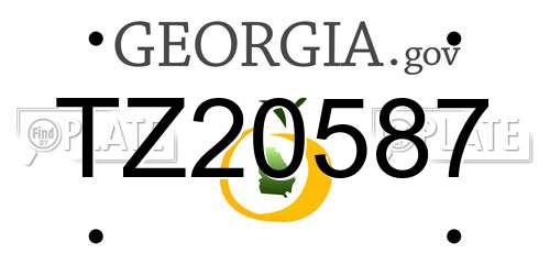 TZ20587 Georgia License Plate