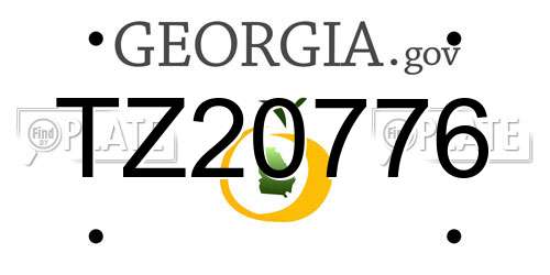TZ20776 Georgia License Plate
