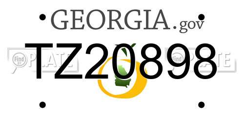 TZ20898 Georgia License Plate