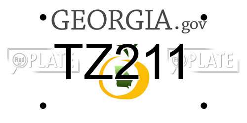 TZ211 Georgia License Plate
