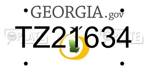 TZ21634 Georgia License Plate