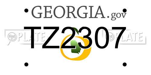 TZ2307 Georgia License Plate