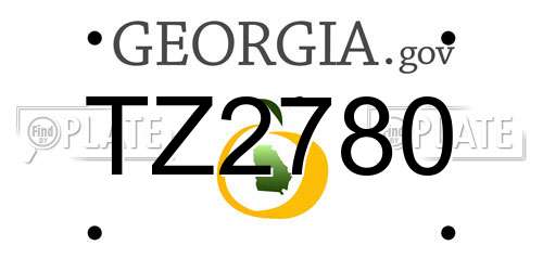 TZ2780 Georgia License Plate