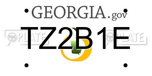 TZ2B1E Georgia License Plate