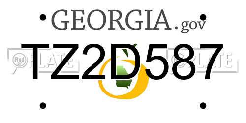 TZ2D587 Georgia License Plate
