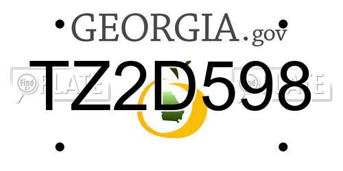 TZ2D598 Georgia License Plate