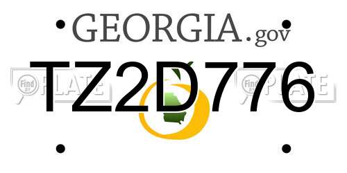 TZ2D776 Georgia License Plate