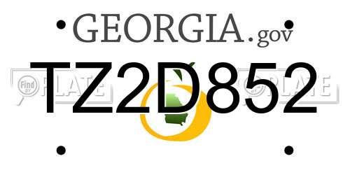 TZ2D852 Georgia License Plate