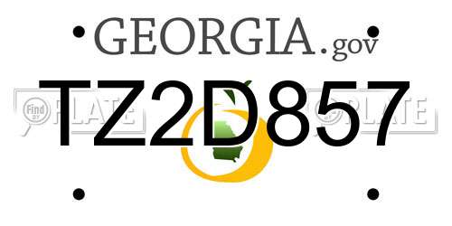 TZ2D857 Georgia License Plate
