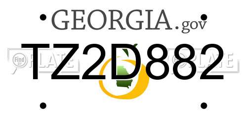 TZ2D882 Georgia License Plate