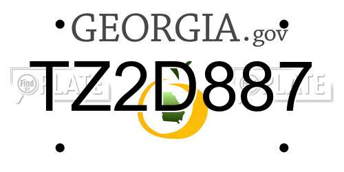 TZ2D887 Georgia License Plate
