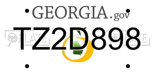 TZ2D898 Georgia License Plate