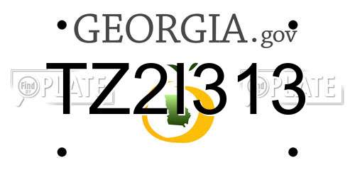 TZ2I313 Georgia License Plate