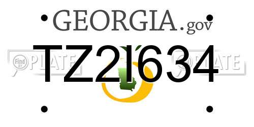 TZ2I634 Georgia License Plate