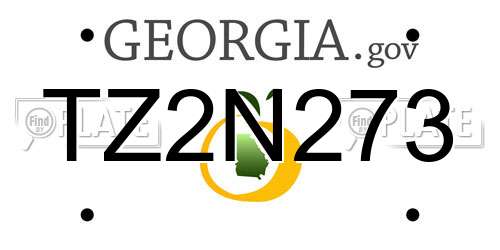 TZ2N273 Georgia License Plate
