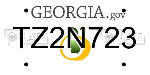 TZ2N723 Georgia License Plate