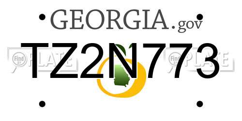TZ2N773 Georgia License Plate