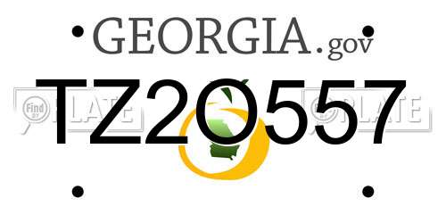 TZ2O557 Georgia License Plate