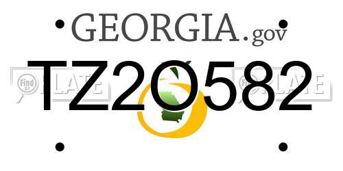 TZ2O582 Georgia License Plate