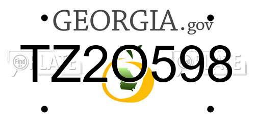 TZ2O598 Georgia License Plate