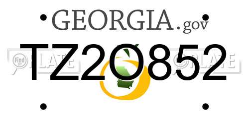 TZ2O852 Georgia License Plate