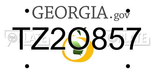 TZ2O857 Georgia License Plate