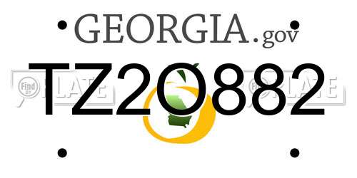 TZ2O882 Georgia License Plate