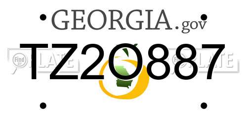 TZ2O887 Georgia License Plate