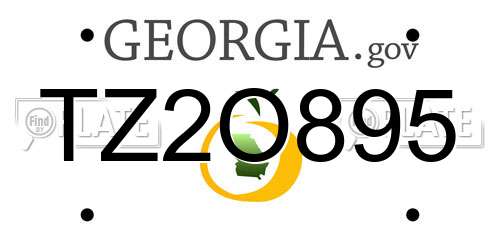 TZ2O895 Georgia License Plate