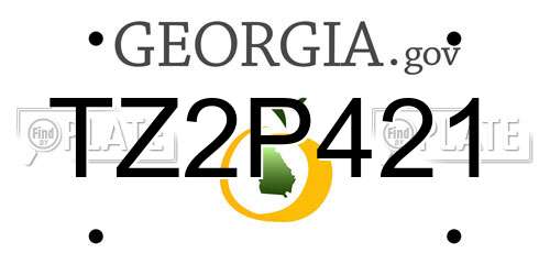 TZ2P421 Georgia License Plate