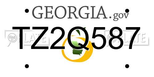 TZ2Q587 Georgia License Plate