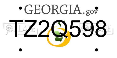 TZ2Q598 Georgia License Plate